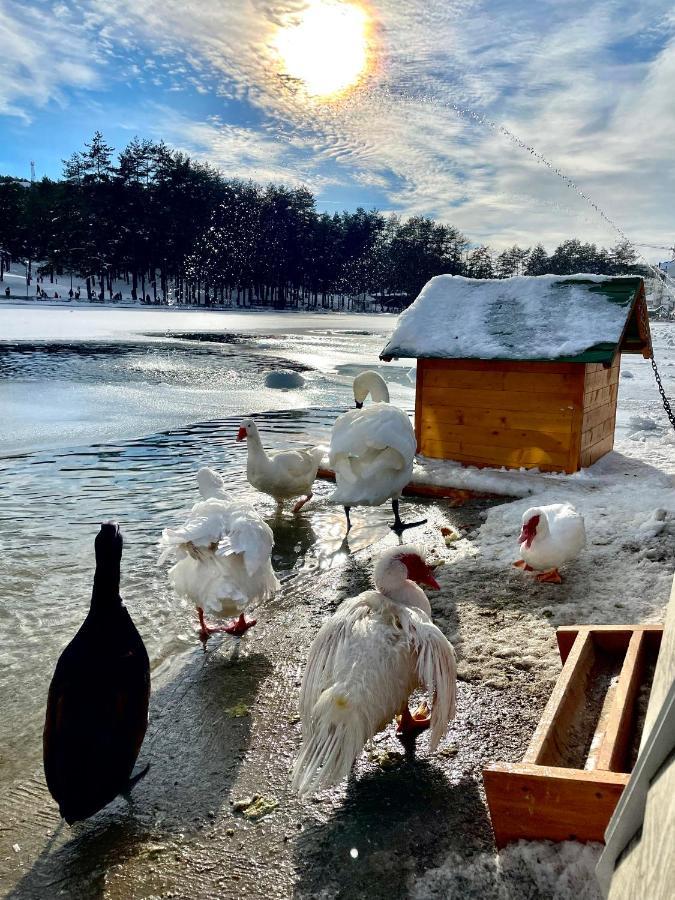 Lux Apartmani Vojinovic ซลาตีบอร์ ภายนอก รูปภาพ
